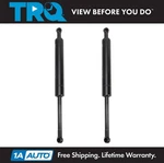 Trq Trunk Lid Lift Support Set Fits 2007-2020 Bmw. Fixed Price $44.95.