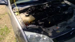 (local Pickup Only) Trunk/hatch/tailgate Station Wgn Heated Glass Fits 00-07 Foc. Fixed Price $159.90.