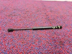 Chevrolet Corvette C6 98-13 Oem Rear Trunk Lid Lift Support Absorber Shock. Fixed Price $19.99.
