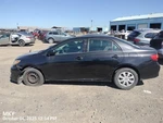 Black W/lights Oem 09-10 Toyota Corolla. Fixed Price $200.00.