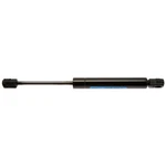 Strong Arm Lift Supports 4113 Trunk Lid. Fixed Price $33.00.