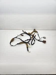 2009-2013 Nissan Rogue Rear Tailgate Lower Wire Wiring Harness 24051-1VK0B. Fixed Price $58.65.
