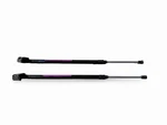 2019-2022 Honda Passport Liftgate Support Shock Strut Set Of. Fixed Price $60.00.