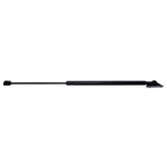 Liftgate Support Strong Arm C4810 Fits 84-87 Honda Civic. Fixed Price $20.69.