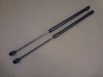 2003 - 2004 Mustang Svt Cobra 4.6 Trunk Shocks Oem Sku# A34. Fixed Price $25.20.