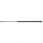Hatch Strut For 1986-1989 Acura Integra 1987 1988 4808 Lift Support. Fixed Price $31.95.