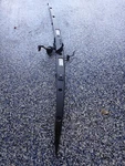 2013-2020 Lincoln Mkx Camera License Lamp Liftgate Socket Panel FA1B-13B482-AA. Fixed Price $99.00.