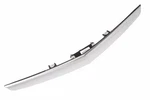 Galvano Silver Deck Lid Center Applique With License Plate Lamp (23389444). Fixed Price $155.92.