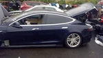 (local Pickup Only) Tesla 2013 Trunk/hatch/tailgate 1069682. Fixed Price $499.90.