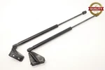 2008 - 2012 Ford Escape Rear Liftgate Glass Shock Strut Support Pair Oem. Fixed Price $49.99.