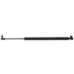 Liftgate Support Strong Arm 4837. Fixed Price $35.64.