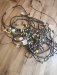 2003-2007 Honda Accord Body Wiring Harness,from Taillights To The Fuse Box. Fixed Price $600.00.