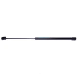 Back Glass Lift Support Strong Arm 4188 Fits 03-08 Toyota Matrix. Fixed Price $47.99.