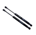 Nissan Maxima Trunk Lid Support Struts. Fixed Price $35.00.