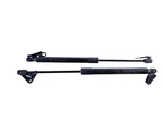 2008 2014 Infiniti EX35 QX50 Left Right Rear Lift Gate Support Strut Oem. Fixed Price $66.25.