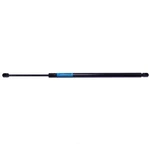 Liftgate Support Strong Arm 6154 Fits 04-08 Chrysler Pacifica. Fixed Price $51.99.