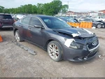 Used Deck Lid Fits: 2013 Nissan Maxima W/o Spoiler Rear View Camera Grade. Fixed Price $465.10.