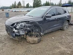 Left Hatchback Strut Oem 2022 Ford Escape LJ6Z14B351D. Fixed Price $75.00.
