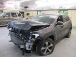 Cherokee 2019 Hatchback Strut 1659003. Fixed Price $99.99.