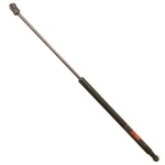 Trw TSG330094 Hood Lift Supports Driver Passenger Side For Chevy Right Left. Fixed Price $25.74.
