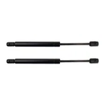 Rear Trunk Lift Support Shock Strut Set Of For Cadillac Cts 2003-2007 15911948. Fixed Price $109.99.