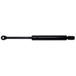 Trunk Lid Lift Support Strong Arm 4508. Fixed Price $46.99.