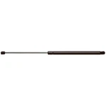 Strong Arm 4370 Hatch Lift Support For 01-12 Escape Mariner Tribute. Fixed Price $34.52.