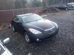 Used Deck Lid Fits: 2004 Toyota Solara W/o Spoiler Grade B. Fixed Price $470.04.