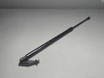 2021-2025 Nissan Rogue Tailgate Liftgate Passenger Shock Strut Support Oem. Fixed Price $36.55.