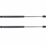 New Set Of Lh And Rh Side Hood Lift Supports Gas Spring Fits Bmw 320I Sedan. Fixed Price $79.20.