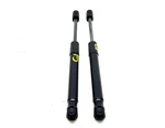 2006 2009 Ford Mustang Trunk Lift Support Shock Strut Pair 6R33-63406A10-BB. Fixed Price $35.99.