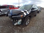 Cherokee 2019 Lid Motor Pull Down 12665821. Fixed Price $118.02.