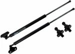 Tailgate Hatch Struts Springs Shocks For 2003-2009 Toyota 4RUNNER Lift Supports. Fixed Price $68.99.