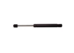Door Lift Support Ams Automotive 6900. Fixed Price $42.99.