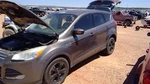 Escape 2014 Hatchback Strut 303316. Fixed Price $40.00.