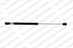 Kilen Rear Gas Spring Boot Cargo Area For Peugeot 206. Fixed Price $21.46.