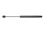 Trunk Lid Lift Support Ams Automotive 6442. Fixed Price $56.99.
