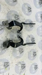 Audi A7 Sportback 4GA, 4GF Left Side Bootlid Hinge 4G8827299 4G8827300 26491410. Fixed Price $136.09.