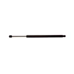 Acdelco 510-1063 Professional Liftgate Support. Fixed Price $55.18.