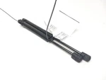 2008 Mitsubishi Lancer Tailgate Struts. Fixed Price $34.99.