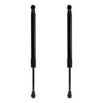 Set Of For Bmw E46 325I 330I M3 2001-2006 Tailgate Trunk Lift Supports Shocks. Fixed Price $14.59.