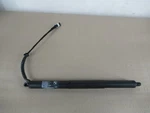Rear Left Trunk Lid Spindle Drive Cylinder Shock Oem Bmw X5M F15 F85 14-18. Fixed Price $132.29.