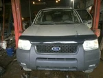 Escape 2003 Hatchback Strut 88162. Fixed Price $25.00.