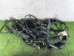 16-17 Ford Focus 2.0L Floor Body Chassis Wire Wiring Harness Loom Oem. Fixed Price $272.50.