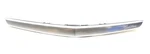New Oem Gm Trunk Lid Trim Molding 23389444 Cadillac Xts 2013-2019. Fixed Price $108.25.