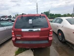 2008-2009 Ford Escape Trunk/decklid/hatch/tailgate Oem MZG8A. Fixed Price $1253.59.