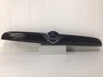 2017-2024 Mini Countryman F60 Rear Liftgate License Lamp Molding OEM#R25. Fixed Price $240.00.