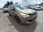 Escape 2013 Lid Motor Pull Down 10800688. Fixed Price $103.02.
