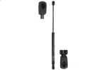 Gas Spring, Boot/cargo Area Stabilus 8982NG Peugeot 206 Cc (2D) 2000-2007. Fixed Price $90.04.