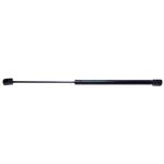 Back Glass Lift Support Strong Arm 4188 Fits 03-08 Toyota Matrix. Fixed Price $34.67.